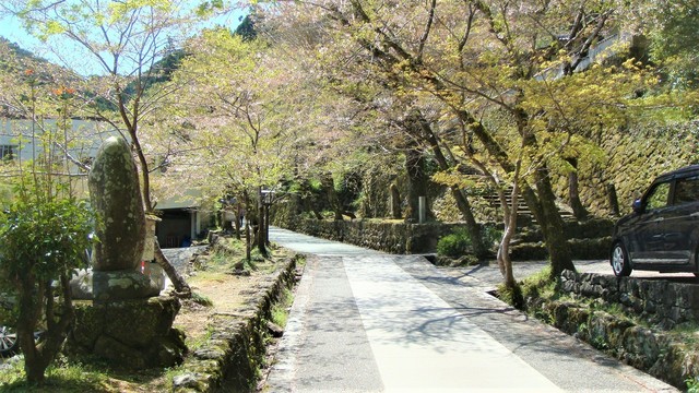 ６牧野公園入口右に青源寺（３９－２７０１）青源寺 (34).JPG