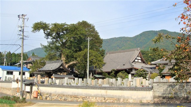 6西念寺(24-1299-23)中村六地蔵磨崖仏 (10)1.JPG