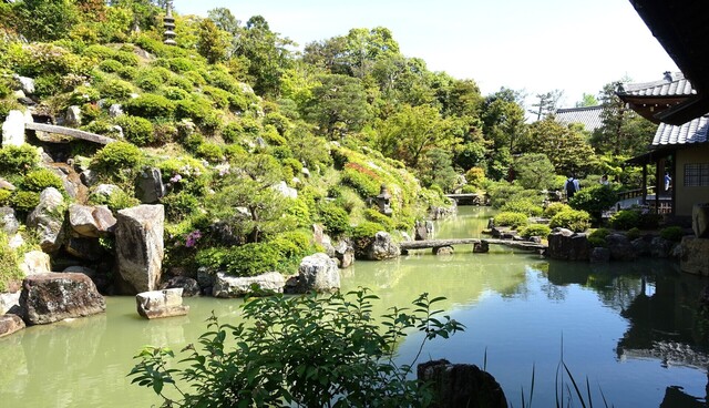 6講堂庭園DSC05772智積院 (48).JPG