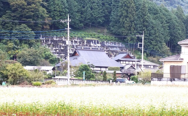 6長興寺DSC00925長興寺語歌堂 (18).JPG