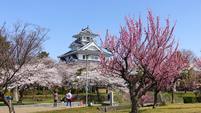 7DSC03873.JPG