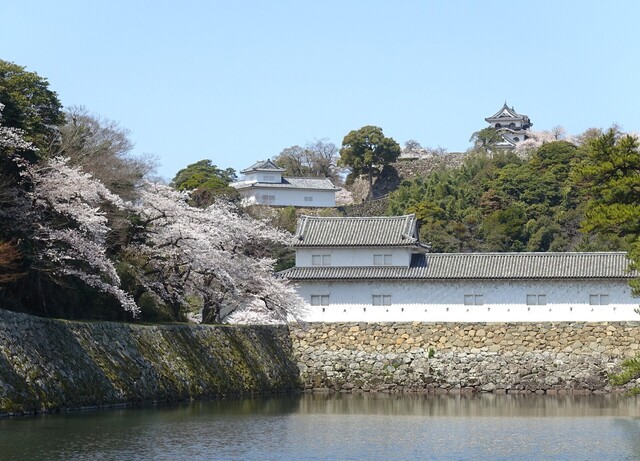 7天守DSC03950.JPG