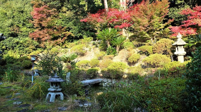 ７庭園（３２－１０２０）万寿寺  (5).JPG