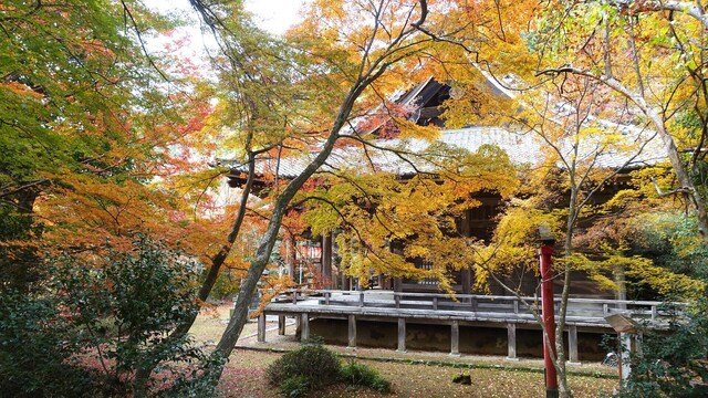 7本堂DSC04409.JPG