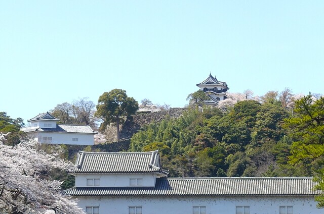 8DSC04125.JPG