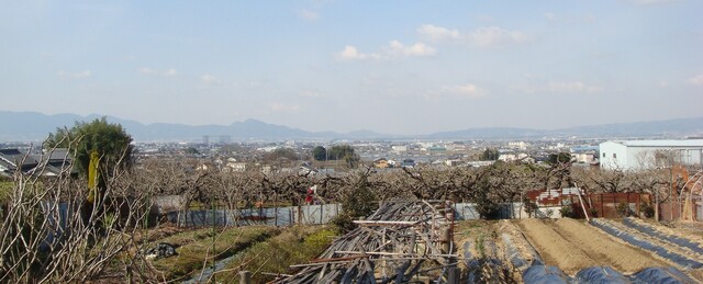 8周辺(29-361)念仏寺 (21).JPG