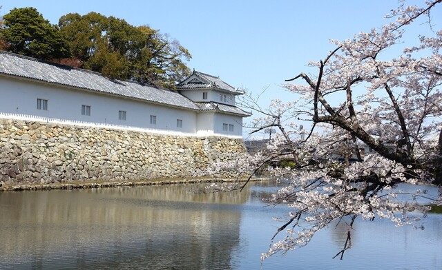 9中堀DSC03998.JPG