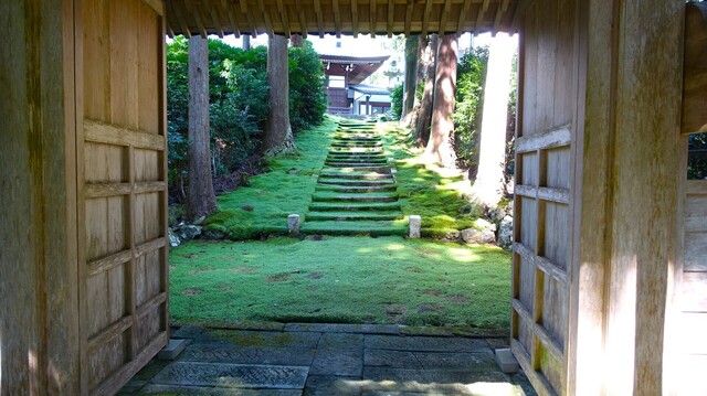 9山門から境内へDSC01329長英寺 (19).JPG