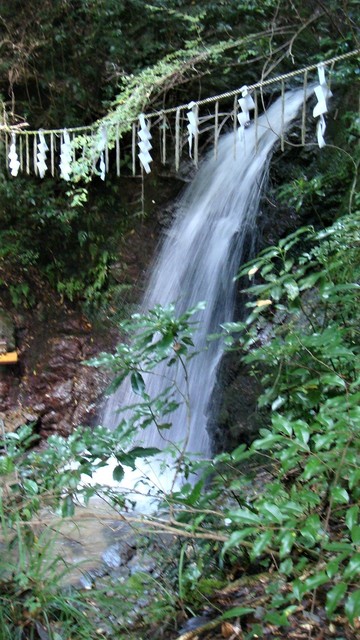 9(29-755)蔵王寺龍峯院 (22).JPG