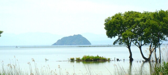 <1>竹生島1386湖北野鳥センター (6).JPG